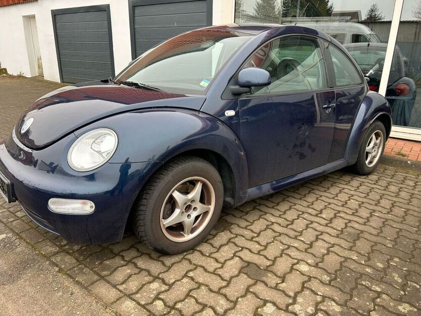 Beetle