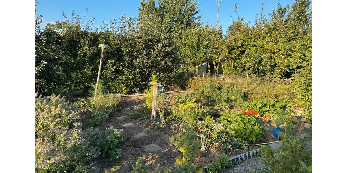 Grundstück Braunschweig Heidberg-Melverode - 3.900&euro; | Angebot:22304126