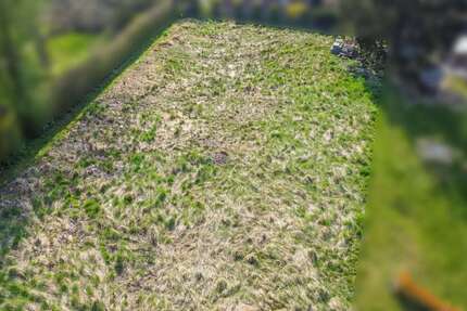 Grundstück zu verkaufen in Liebenburg Groß Döhren 49.000 € 1212 m² zimmer