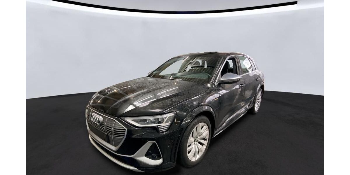 Audi e-tron 137.667 km 27.990 &euro; Braunschweig 38122