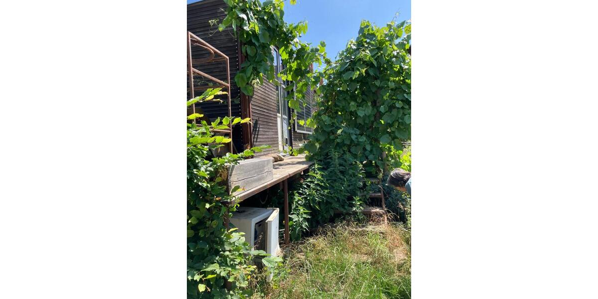 Einfamilienhaus Wolfenbüttel Adersheim - 18.000&euro; | Angebot:24677132