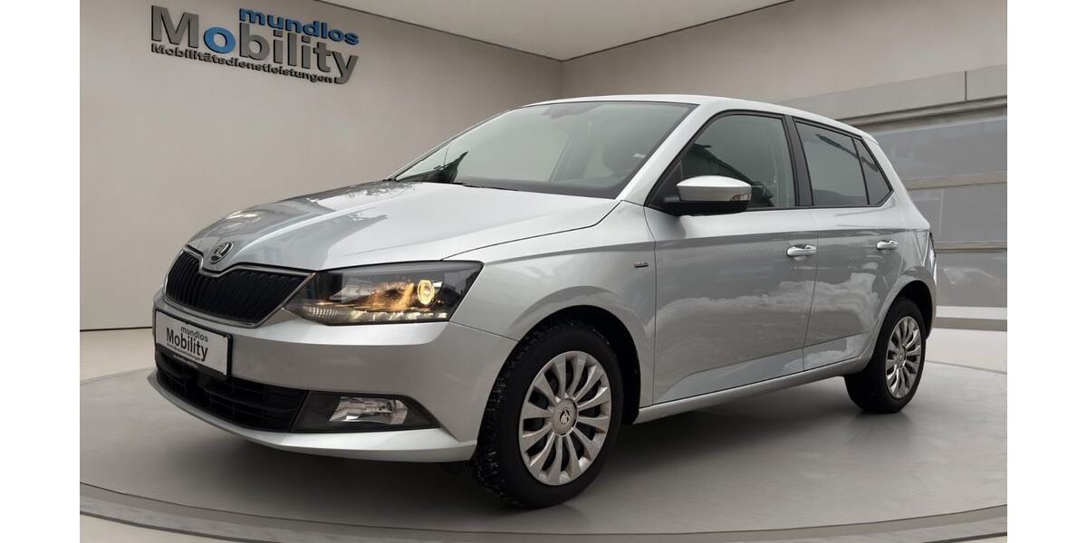 Skoda Fabia 118.500 km 10.920 &euro; Braunschweig 38114