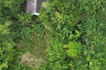 Grundstück Braunschweig Westliches Ringgebiet - 34.900&euro; | Angebot:25152418