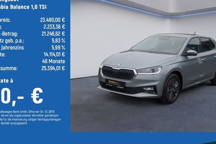 Skoda Fabia 4.739 km 23.480 &euro; Braunschweig 38124