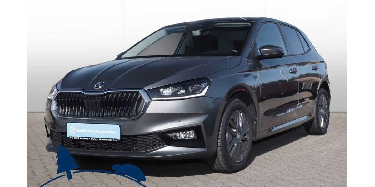 Skoda Fabia 3.250 km 18.990 &euro; Schladen 38315