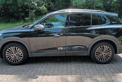 VW Tiguan