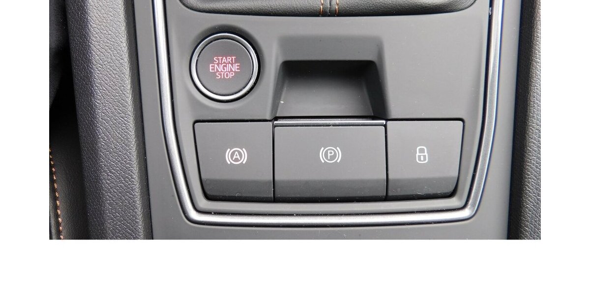 Cupra Formentor 1.5 TSI BMT Klima LED Alu 18.400 km 20.390 &euro; Vordorf 38533