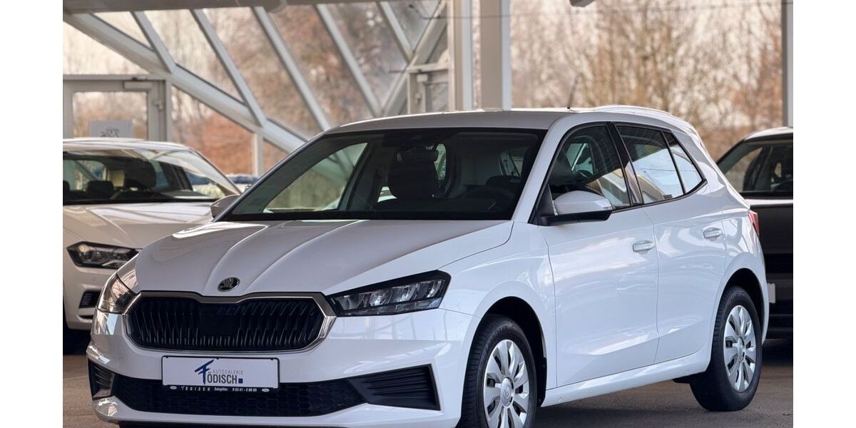 Skoda Fabia 29.620 km 13.290 &euro; Salzgitter 38228