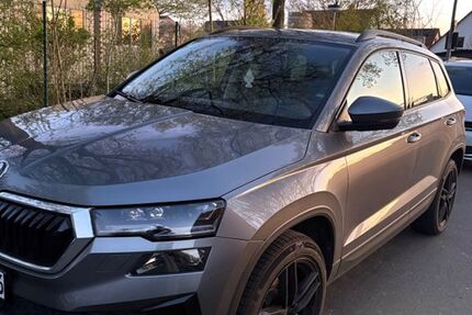 Skoda Karoq 117.000 km 21.000 &euro; Braunschweig 38108