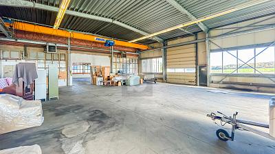 HALLENKOMPLEX MIT FREIFLÄCHEN UND WIESE 5 zimmer