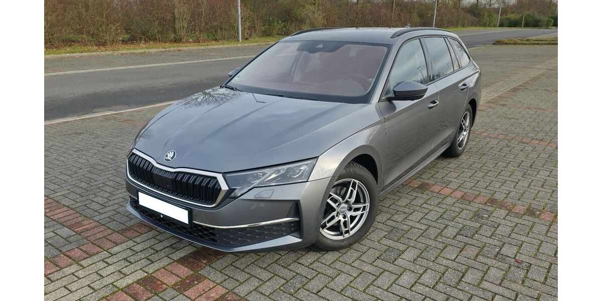 Skoda Octavia 29.200 km 31.000 &euro; Gifhorn 38518