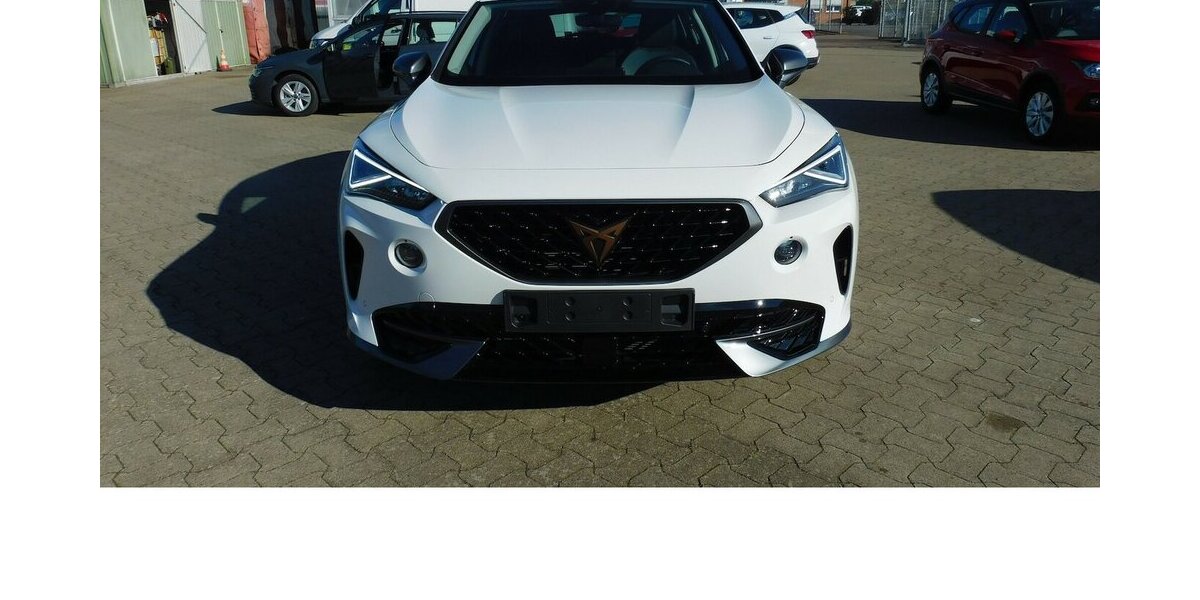 Cupra Formentor 1.5 TSI BMT Klima LED Navi 22.200 km 21.990 &euro; Vordorf 38533