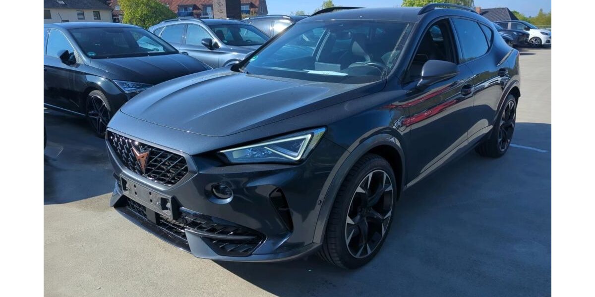 Cupra Formentor 24.890 km 50.000 &euro; Braunschweig 38114
