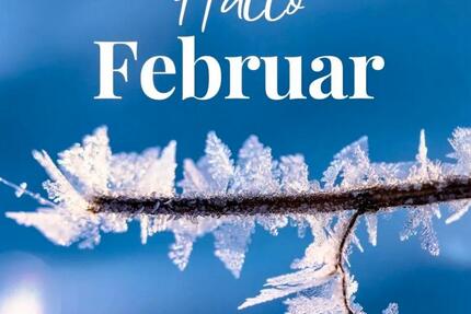 Wohnung Wolfsburg Detmerode - 2 Zimmer, 59 m&sup2;, 420&euro; | Angebot:24979490