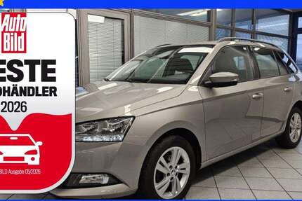 Skoda Fabia 123.062 km 9.950 &euro; Wolfsburg Heiligendorf 38444