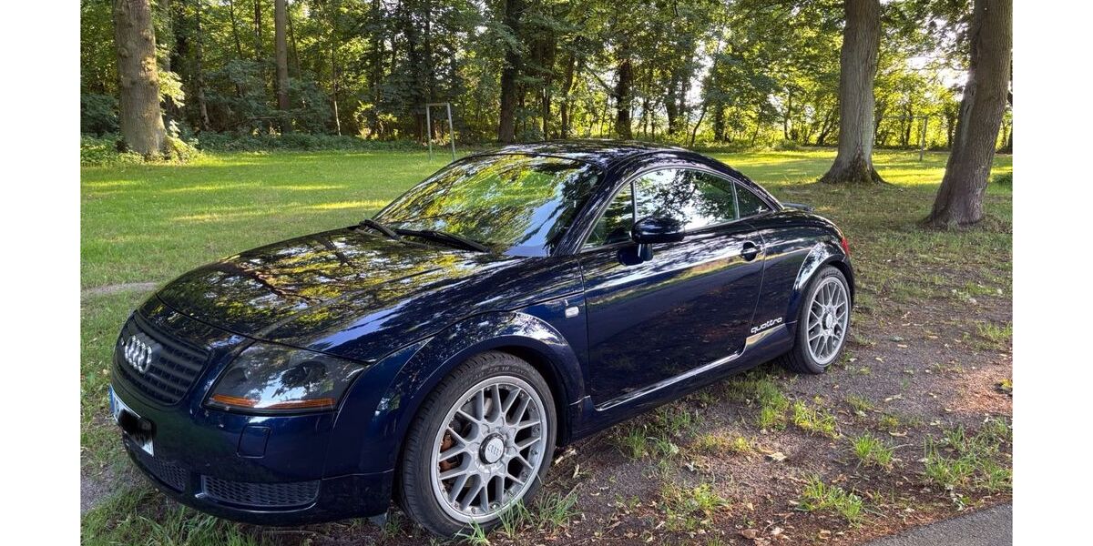 Audi TT 162.000 km 12.500 &euro; Wolfsburg 38448