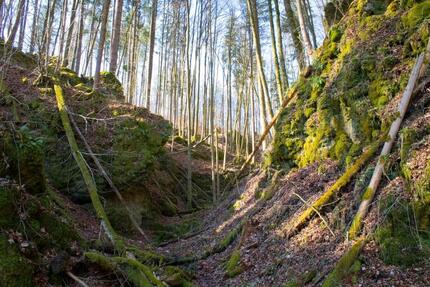 Haus Wolfenbüttel - 8 Zimmer, 205 m&sup2;, 229.000&euro; | Angebot:25360621