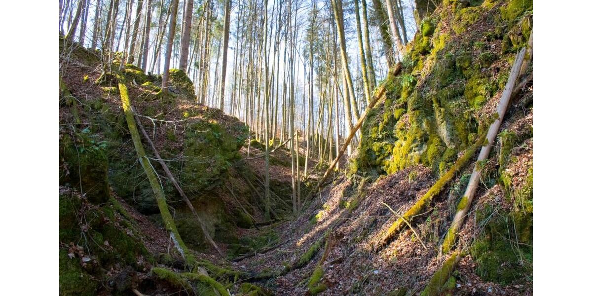 Mehrfamilienhaus, Wohnhaus Wolfenbüttel - 8 Zimmer, 205 m&sup2;, 229.000&euro; | Angebot:25360621