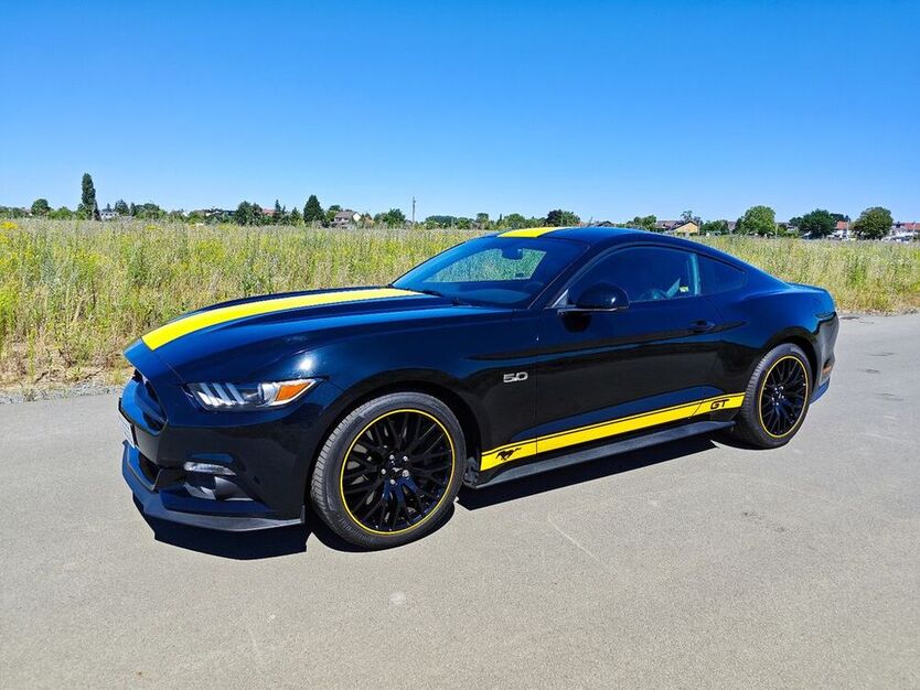 Mustang