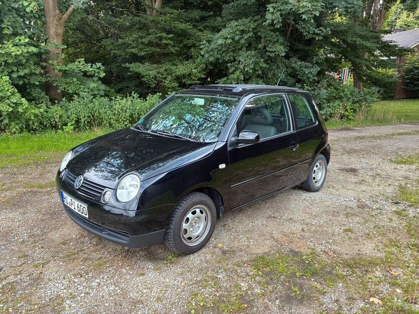 Lupo