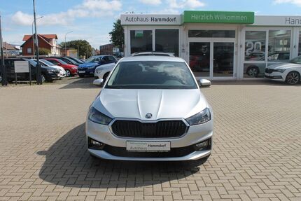 Skoda Fabia 15.900 km 14.990 € Wolfenbüttel 38304