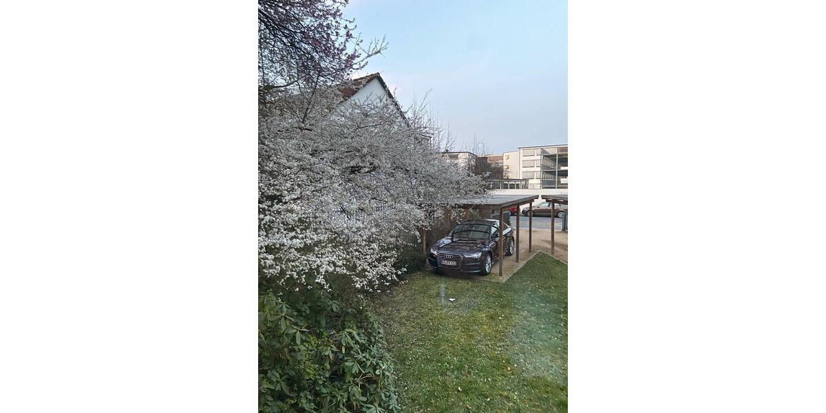 Hochparterre Braunschweig Broitzem - 2 Zimmer, 51 m&sup2;, 750&euro; | Angebot:25157607