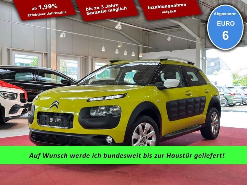 C4 Cactus