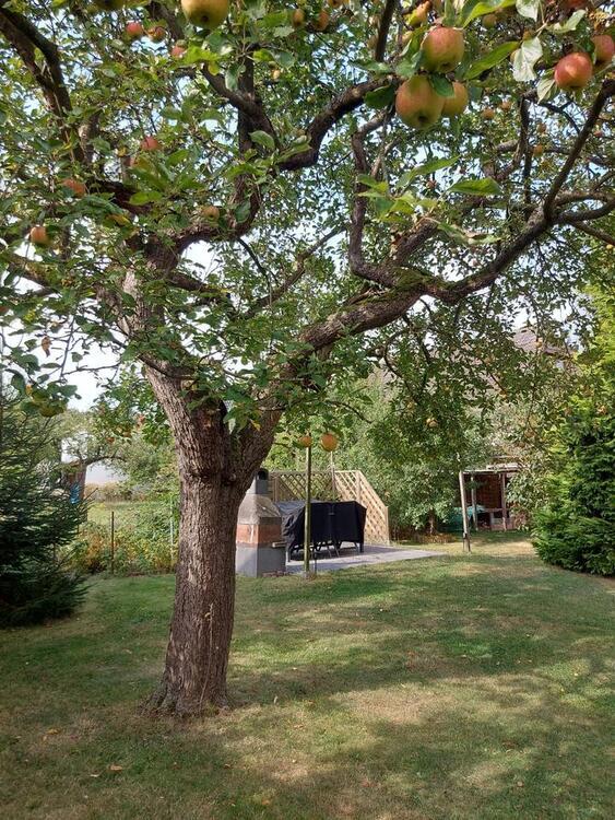 4 Zimmer Eigentumswohnung mit eigenem großen Garten