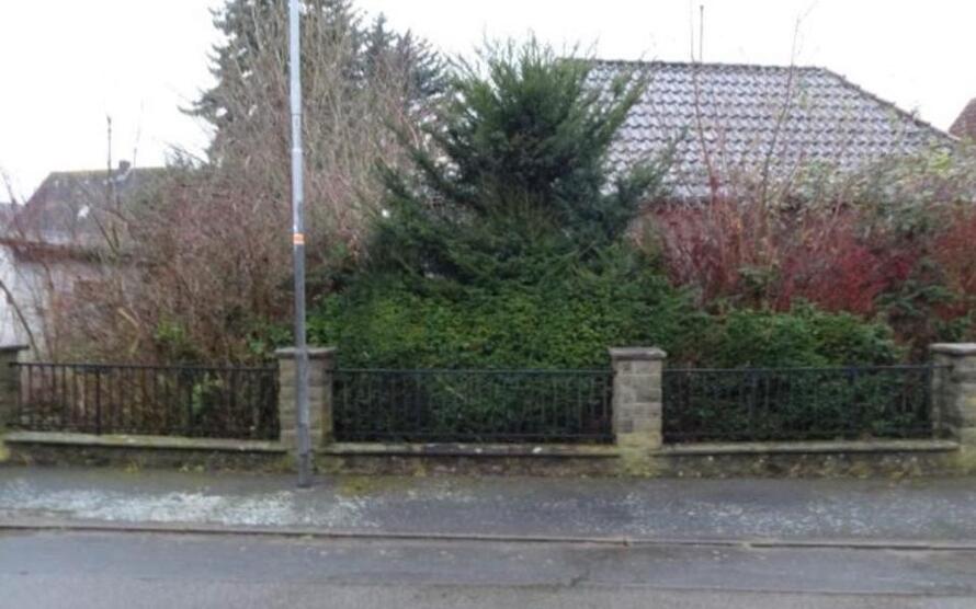 WER BEFREIT MICH AUS DEM DORNRÖSCHENSCHLAF?