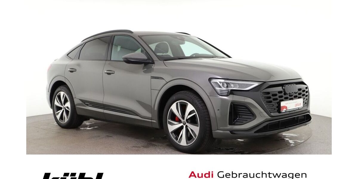 Audi Q8 e-tron 18.180 km 66.390 &euro; Gifhorn 38518