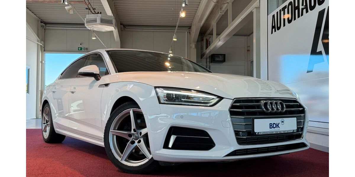 Audi A5 126.268 km 21.400 &euro; Peine 31228