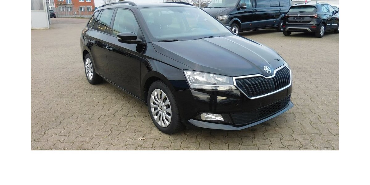 Skoda Fabia 1.0 Ambition TSI BMT Navi Klima 25.700 km 15.990 &euro; Vordorf 38533