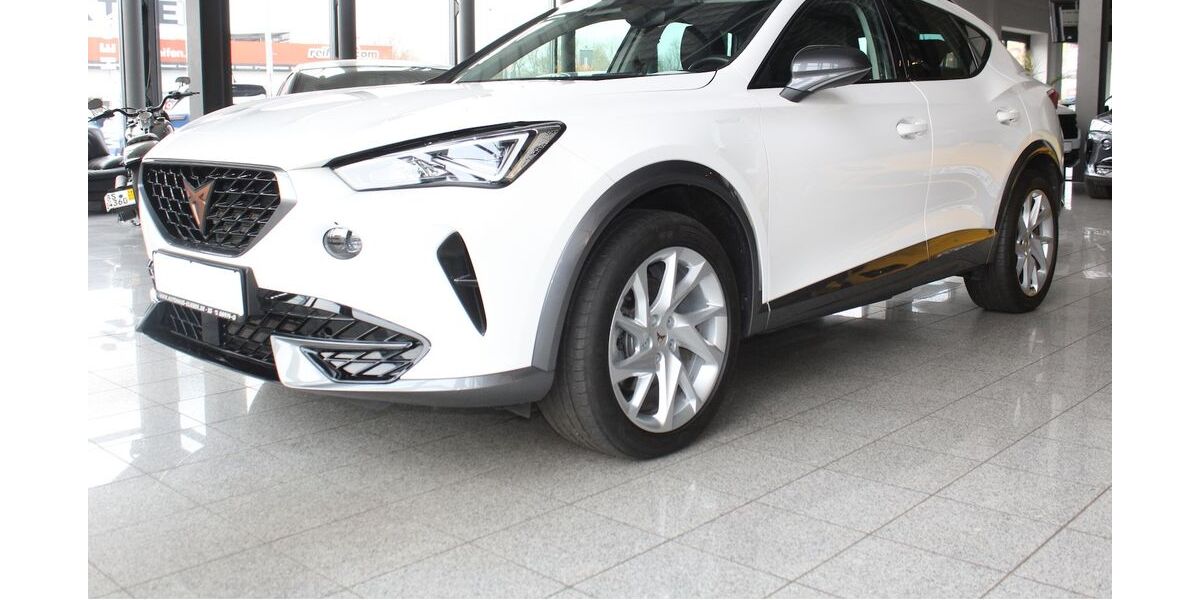 Cupra Formentor 106.613 km 20.440 &euro; Braunschweig 38112
