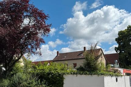 Haus Braunschweig Südstadt- Rautheim- Mascherode - 6 Zimmer, 164 m&sup2;, 295.000&euro; | Angebot:26764031