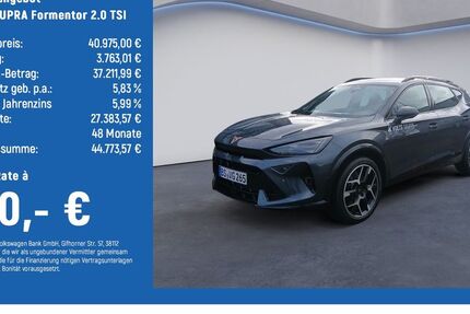 Cupra Formentor 8.500 km 40.975 &euro; Braunschweig 38114