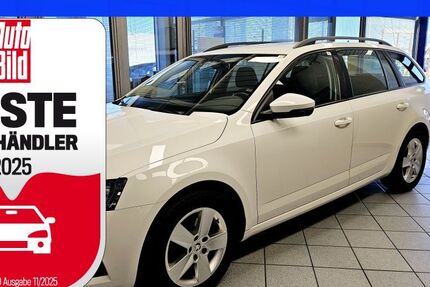 Skoda Octavia 141.902 km 15.400 € Wolfsburg-Heiligendorf 38444