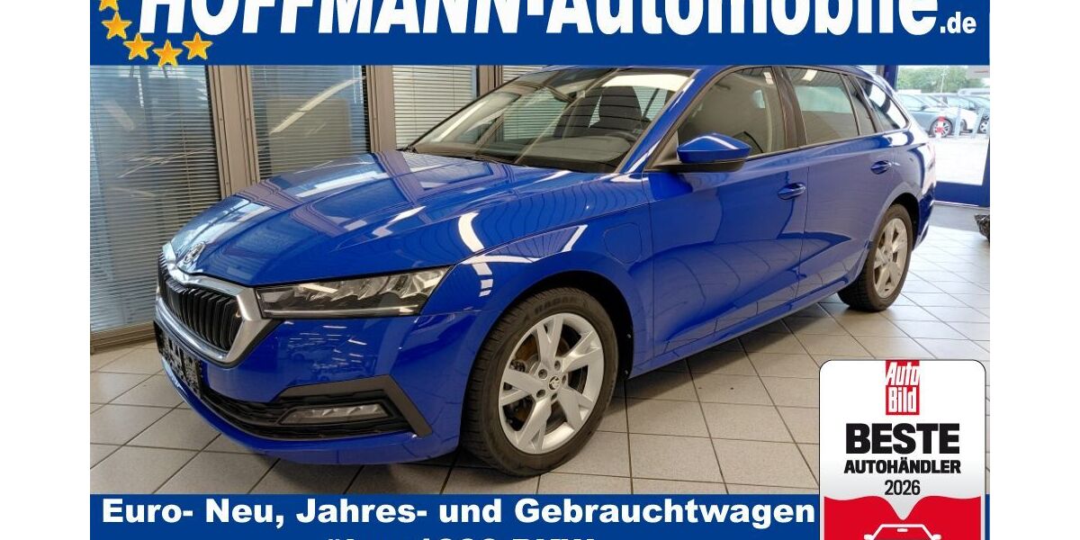 Skoda Octavia 109.005 km 16.900 &euro; Wolfsburg-Heiligendorf 38444