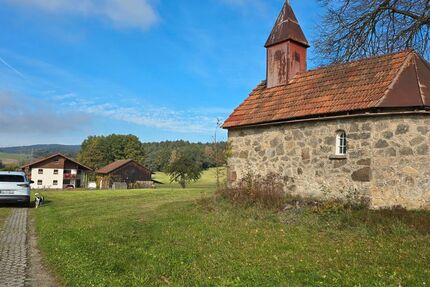 Skoda Enyaq 1.850 km 40.999 &euro; Braunschweig 38110