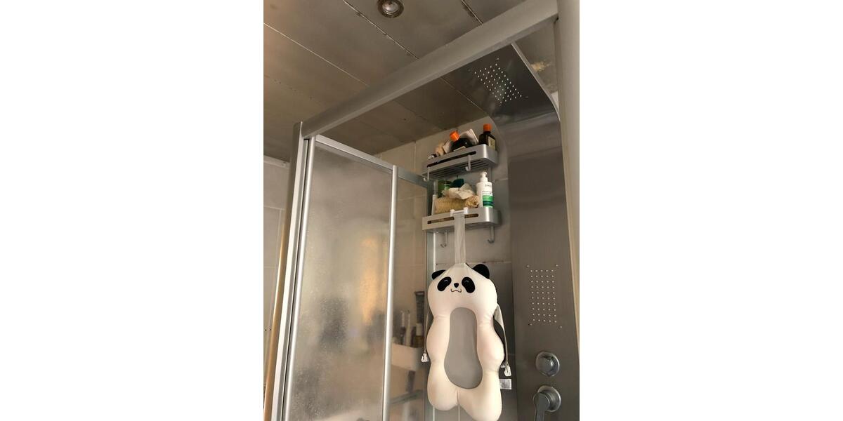 Hochparterre Braunschweig Östliches Ringgebiet - 2 Zimmer, 62 m&sup2;, 570&euro; | Angebot:24862354