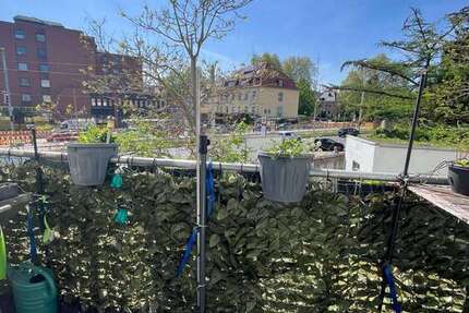 Wohnung Brauschweig Innenstadt - 5 Zimmer, 110 m&sup2;, 1.150&euro; | Angebot:24807377