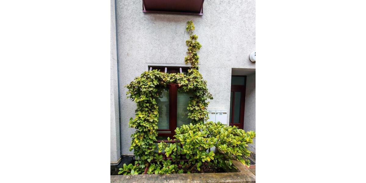 Etagenwohnung Braunschweig Lehndorf-Watenbüttel - 1 Zimmer, 36 m&sup2;, 115.000&euro; | Angebot:26705576