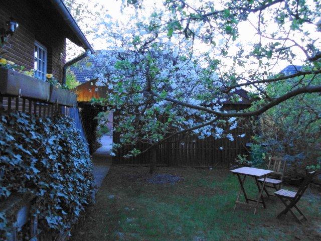 Dachgeschoßwohnung Braunschweig Südstadt- Rautheim- Mascherode - 3 Zimmer, 74 m&sup2;, 600&euro; | Angebot:26598469