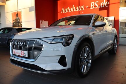 Audi e-tron 41.361 km 32.849 &euro; Braunschweig 38116