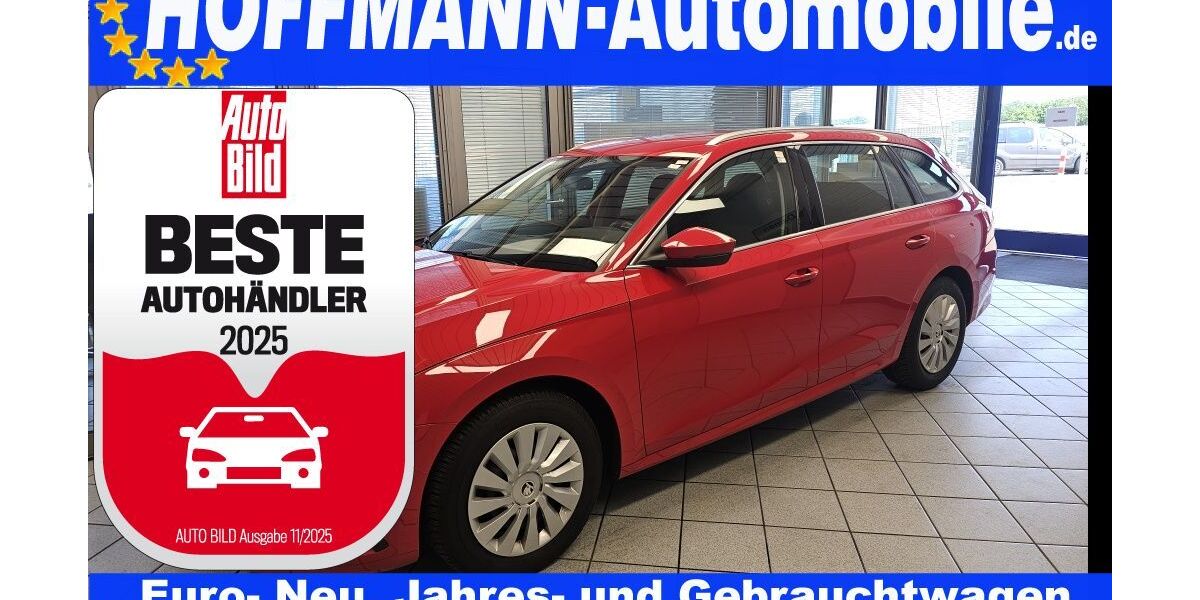 Skoda Octavia 76.723 km 19.900 &euro; Wolfsburg-Heiligendorf 38444