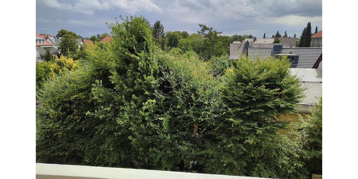 Etagenwohnung Braunschweig Nordstadt - 3 Zimmer, 70 m&sup2;, 720&euro; | Angebot:24841349