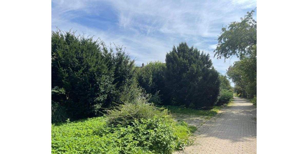 Grundstück Wolfenbüttel Stadtgebiet - 395.000&euro; | Angebot:25776932