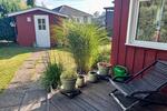 Bungalow Sassenburg - 2 Zimmer, 50 m&sup2;, 159.900&euro; | Angebot:27021092