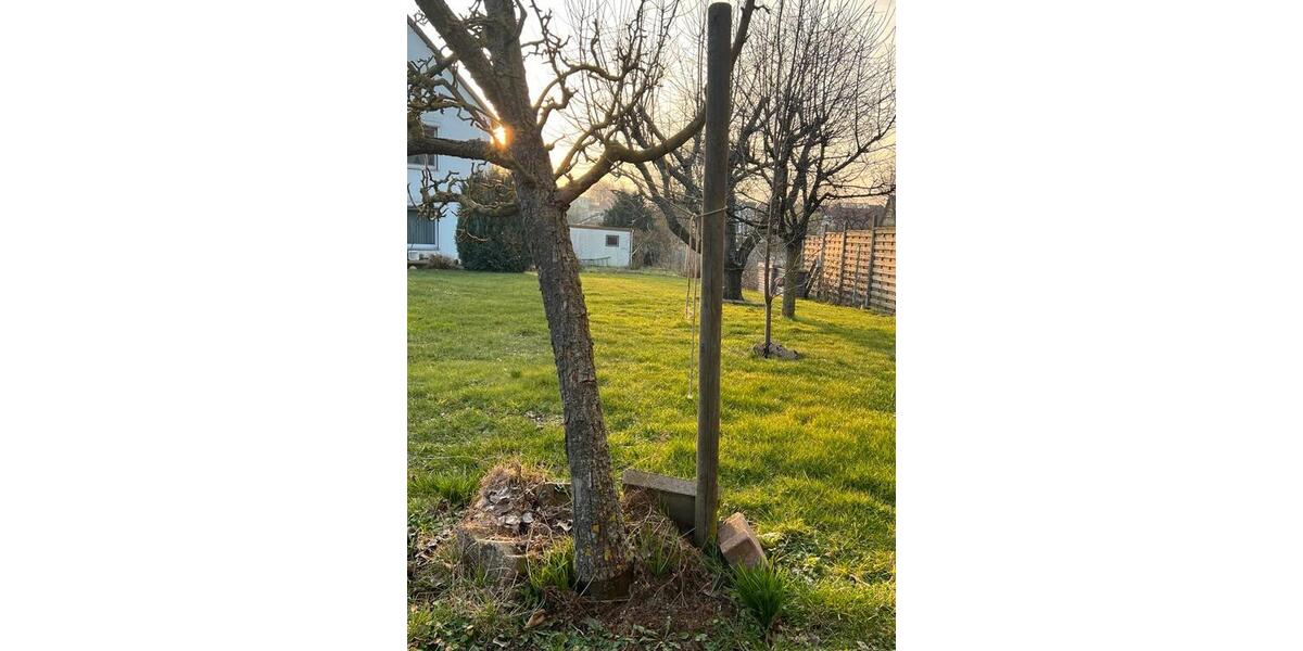 Mehrfamilienhaus, Wohnhaus Königslutter am Elm - 8.5 Zimmer, 240 m&sup2;, 225.000&euro; | Angebot:26019605