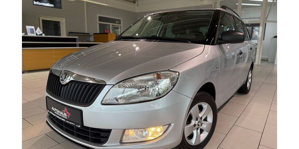 Skoda Fabia 118.000 km 3.990 &euro; Braunschweig 38114