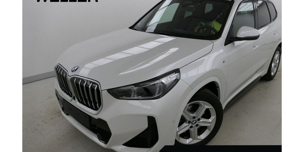 BMW X1 30.576 km 38.888 &euro; Peine 31226